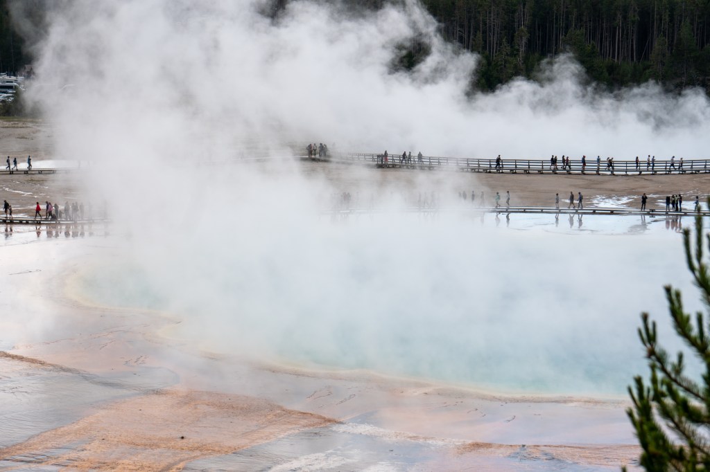 Yellowstone in July: When a Holiday Weekend Brings Wildlife, Friends, and Accidental Bear&nbsp;Spray
