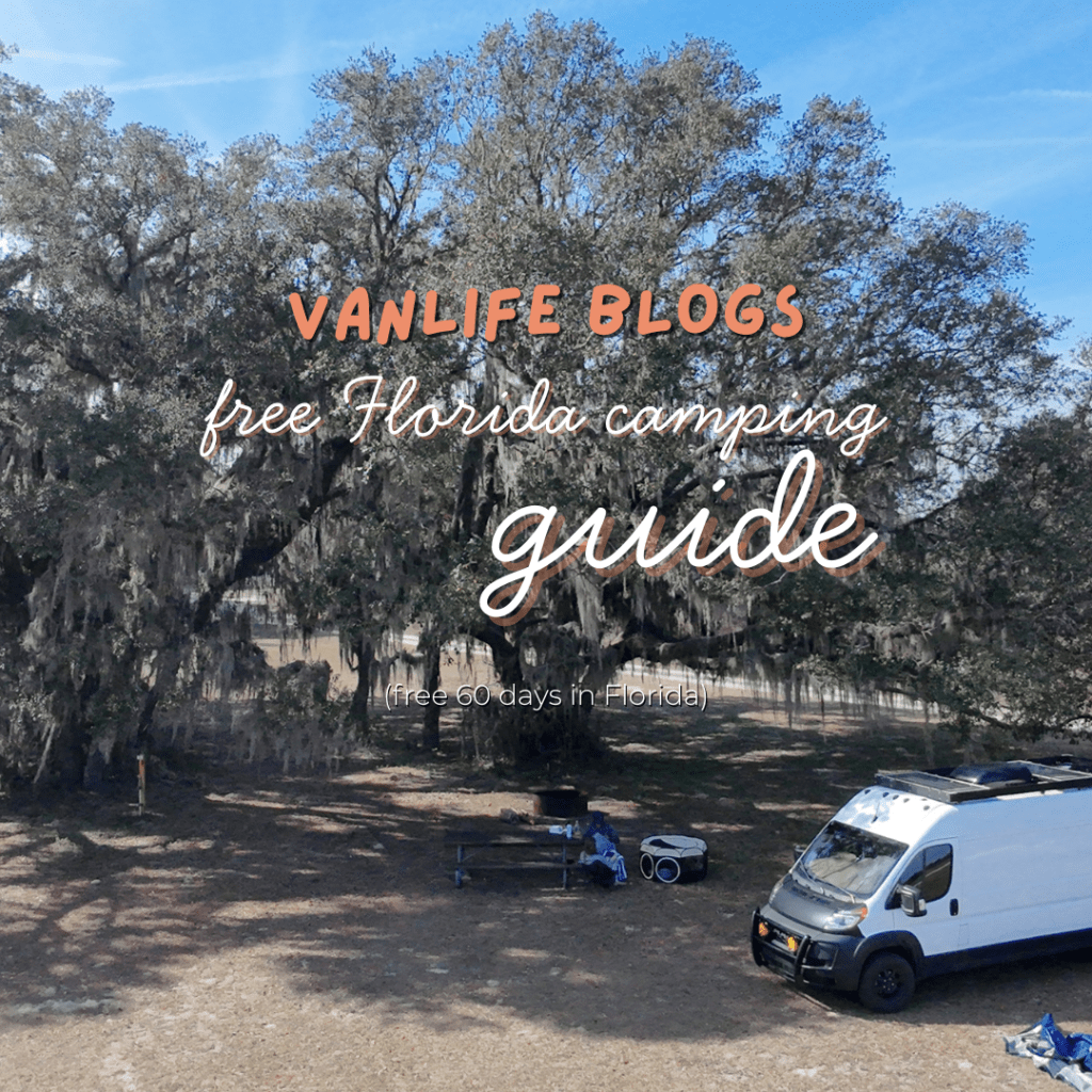 The Free Florida Camping Secret That’s Changing Van Life: Your Complete SWFWMD Guide