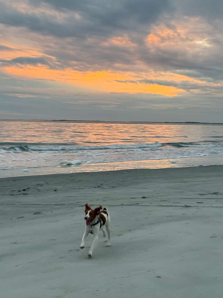 Holiday Adventures with Family: Savannah, Charleston & Hilton&nbsp;Head