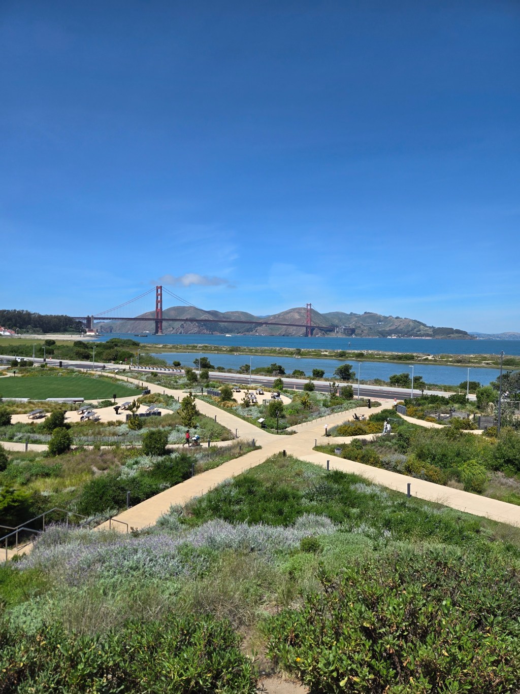 House Sitting Our Way Into the Bay Area (and Finally Meeting Lori on Her&nbsp;Turf)